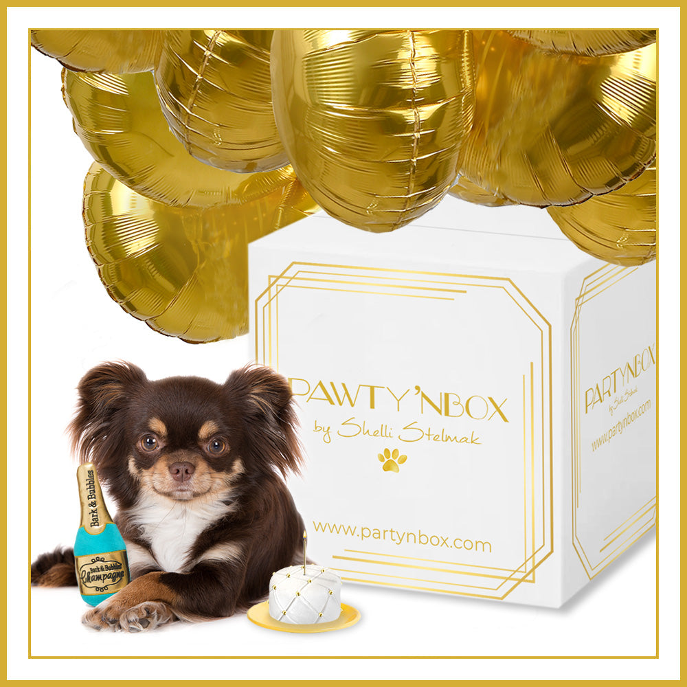 Pawty 'nBox for your Pet!